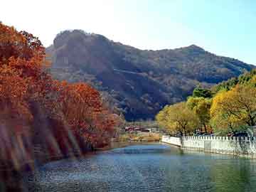 新澳天天开奖资料大全旅游团，完结同人小说